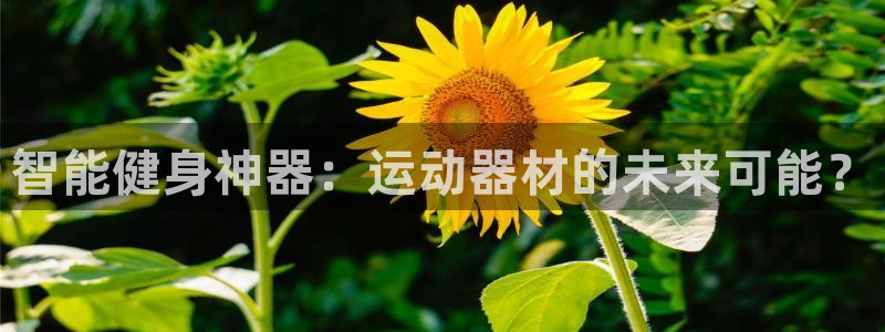 球客岛官方正版app娱乐平台：智能健身神器：运动器材