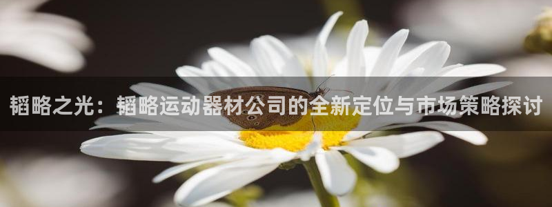 球客岛官网下载招商电话号码查询：韬略之光：韬略运动器