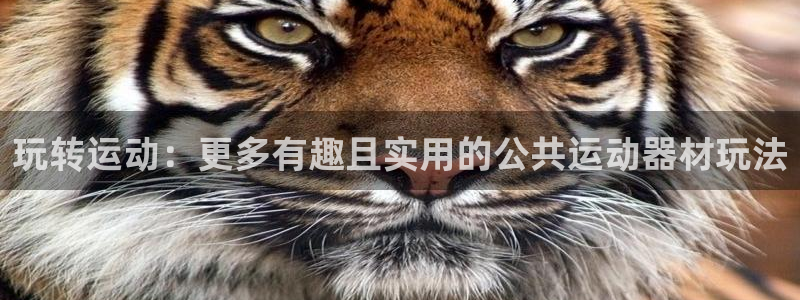 球客岛官网下载招商电话号码是多少啊：玩转运动：更多有趣且实用