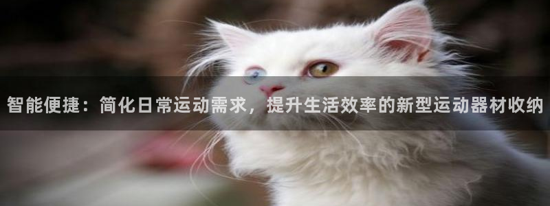 海南球客岛官网下载发展怎么样：智能便捷：简化日常运动需求，提