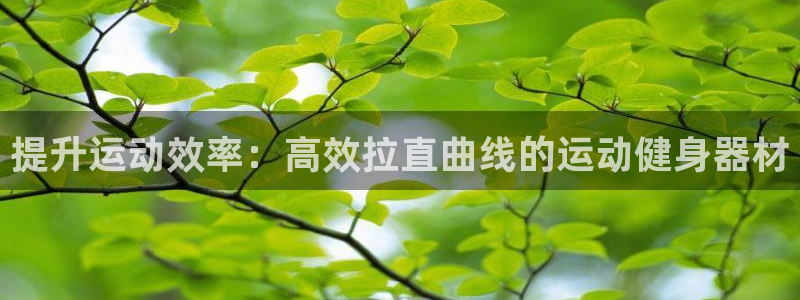 球客岛官网下载招商电话号码是多少号：提升运动效率：高