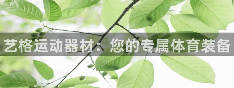 球客岛官方正版app娱乐是那个系列的台子：艺格运动器材：您的