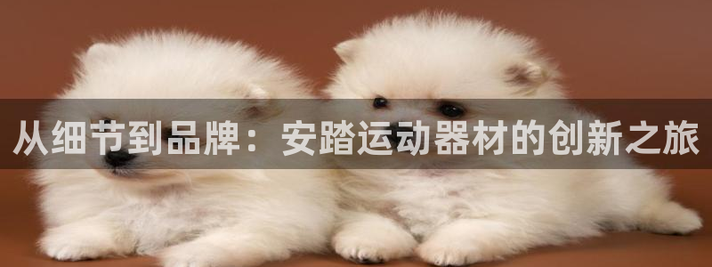 球客岛官网下载平台是正规平台吗知乎：从细节到品牌：安踏运动器