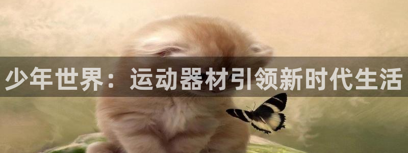 球客岛官网下载招商电话号码是多少：少年世界：运动器材引领新时