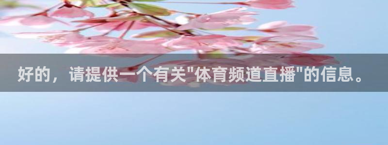 178篮球直播在线直播