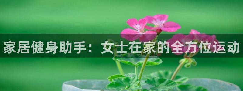 球客岛官网下载开户：家居健身助手：女士在家的全方位运动