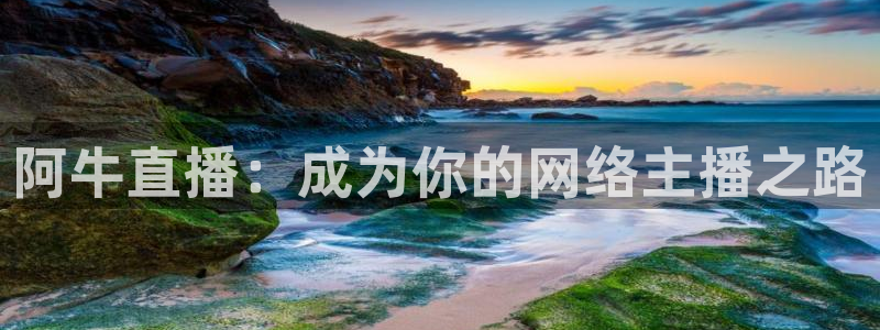 178直播体育赛事nba：阿牛直播：成为你的网络主播之路
