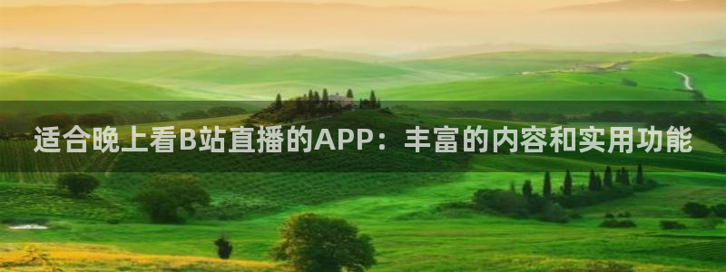 178篮球直播在线直播：适合晚上看B站直播的APP：丰富的内容和实用功能