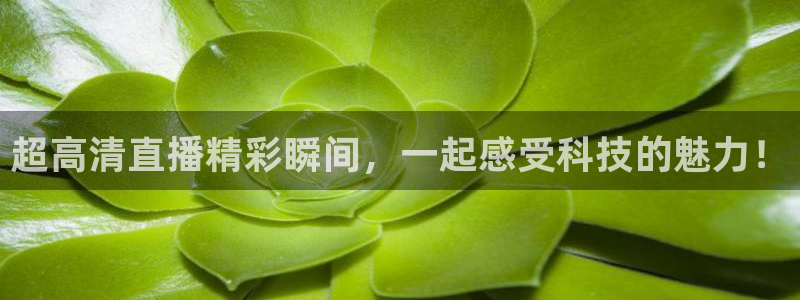 足球比赛178直播：超高清直播精彩瞬间，一起感受科技的魅力！